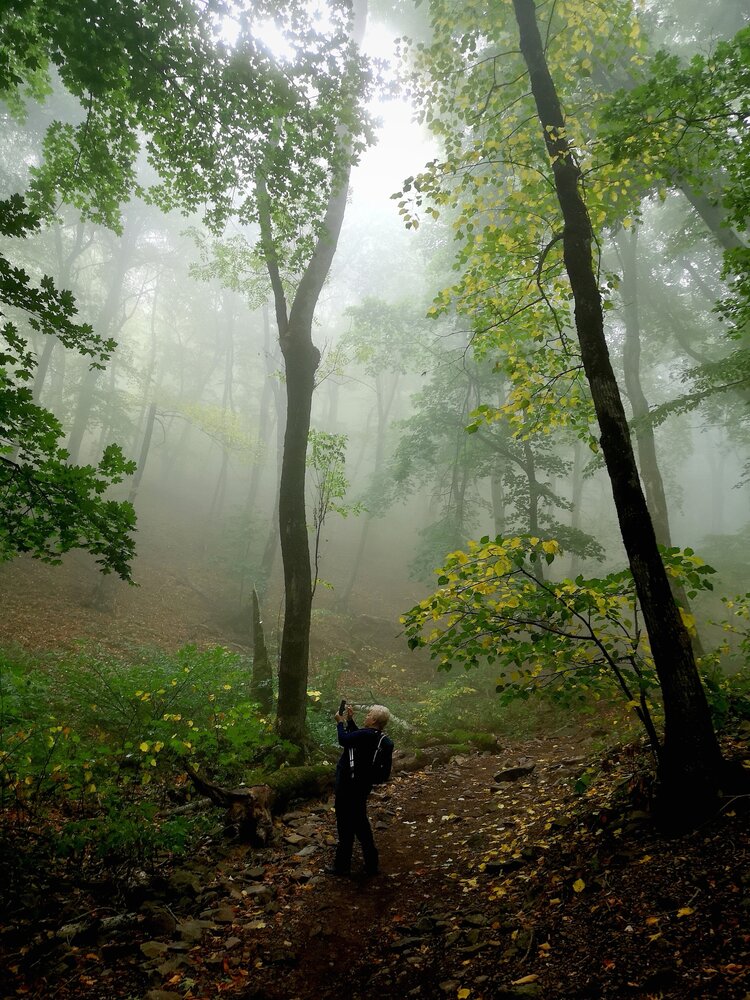 Photograph by Кривенко Владимир