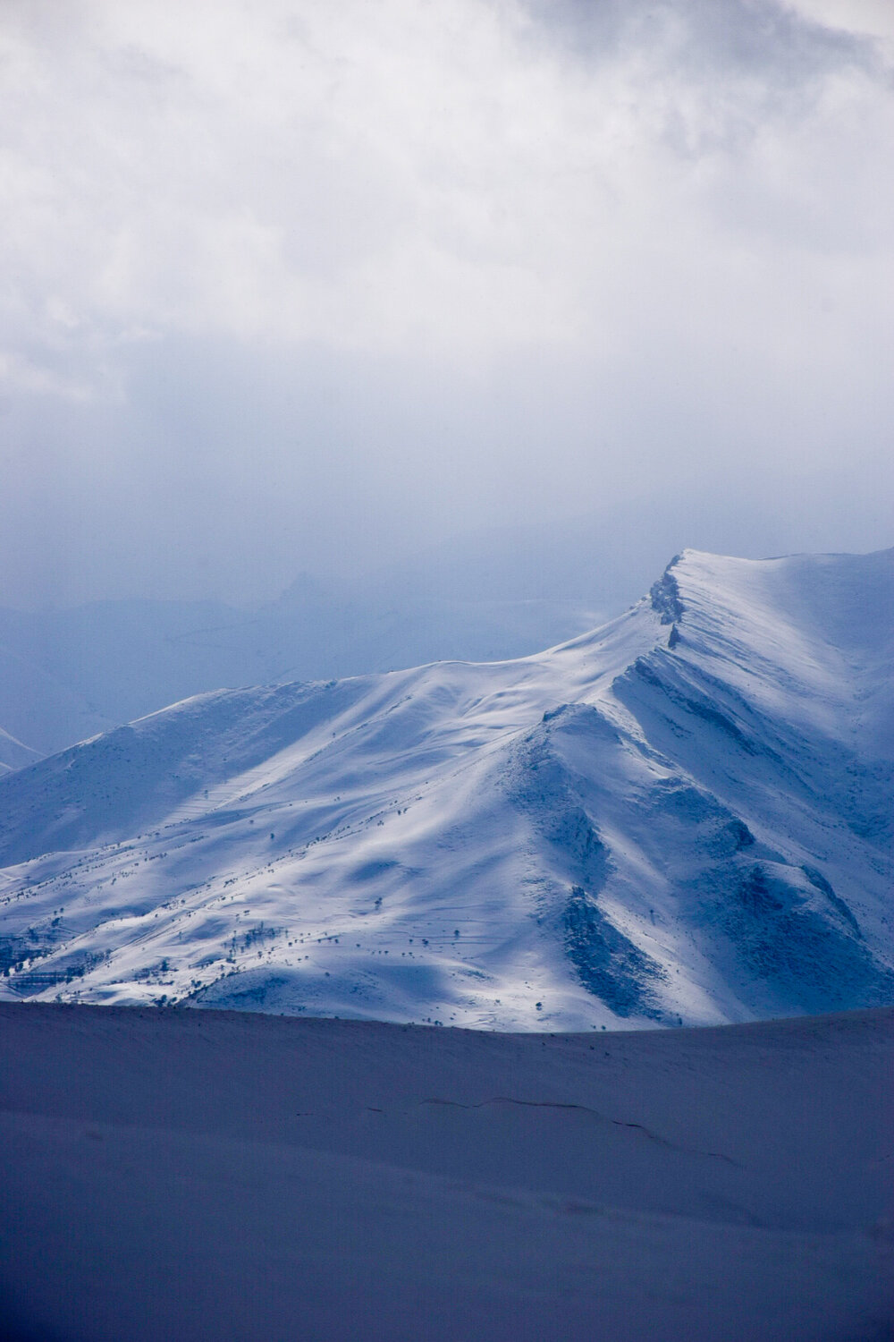 Photo #13844515
