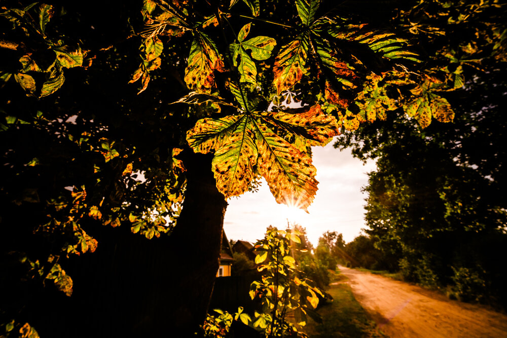 Photograph by Евгений Николаенков