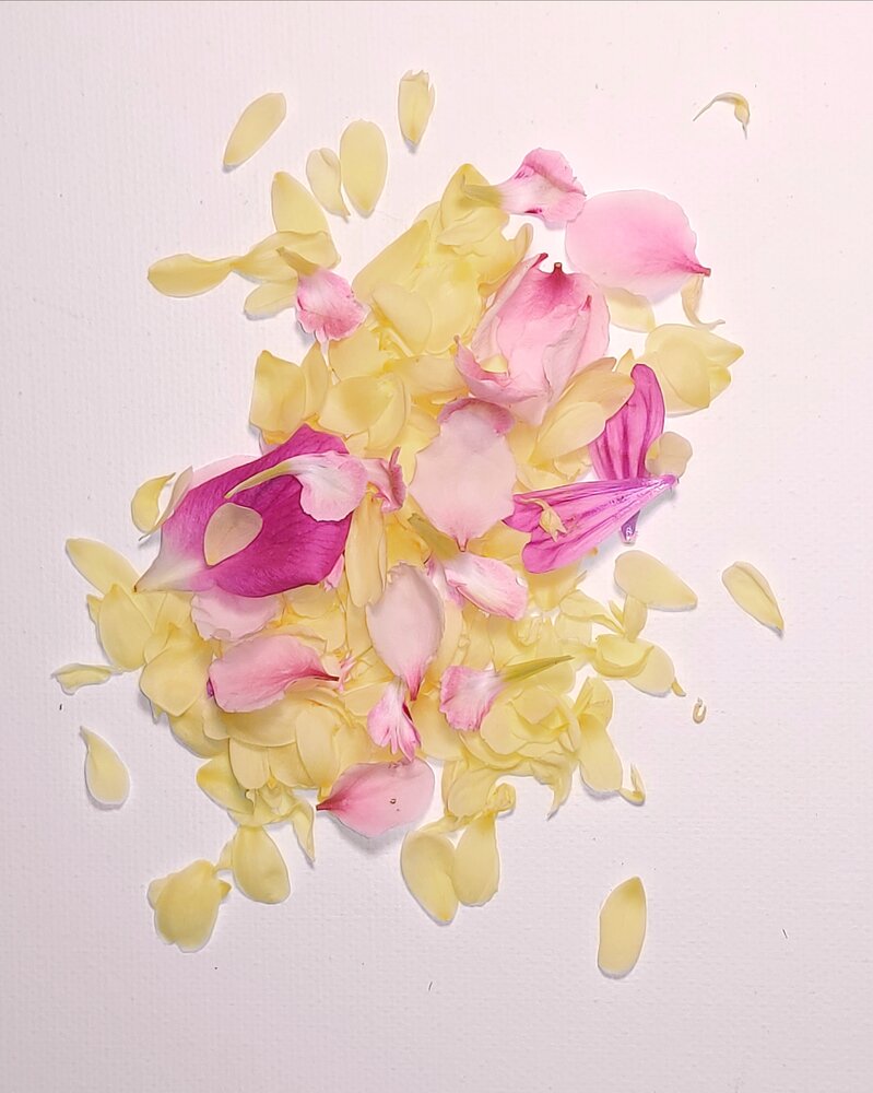 Photograph by Mayya Khrolovich