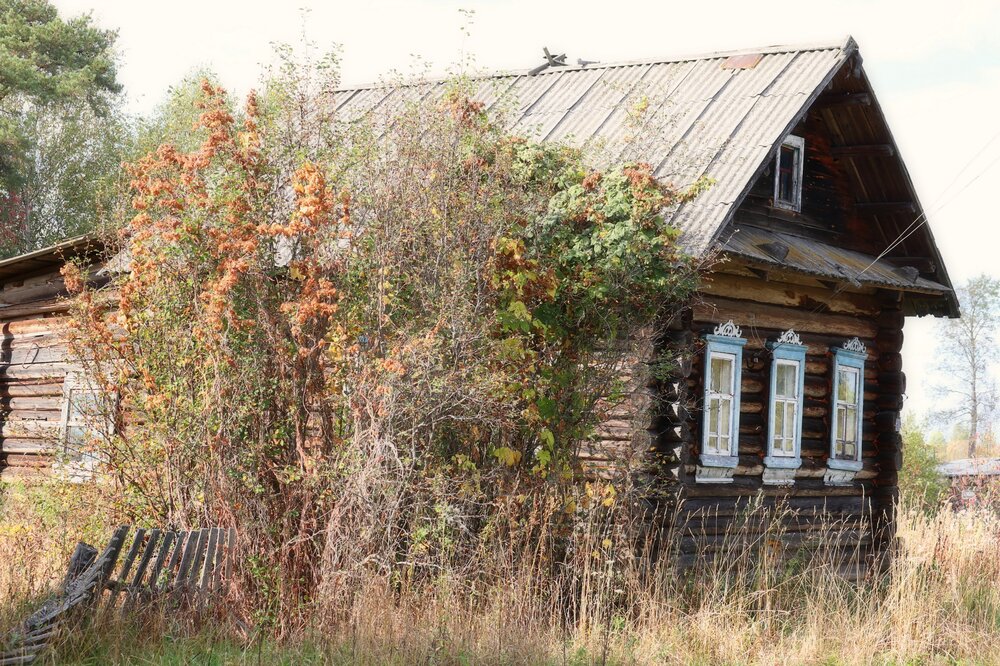 Photograph by Владимир Перминов