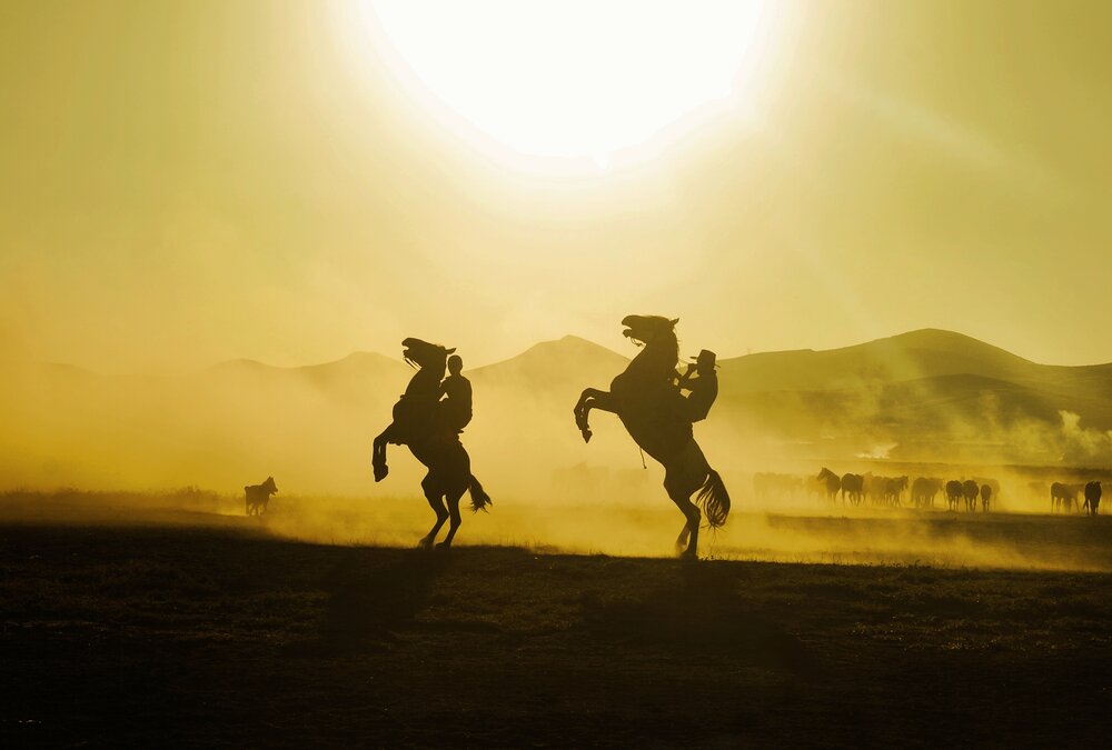 Photograph by SÜLEYMAN ÜLKER