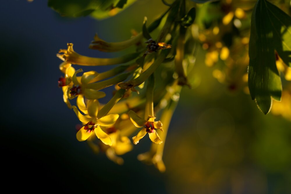 Photograph by Юлия Овчинникова
