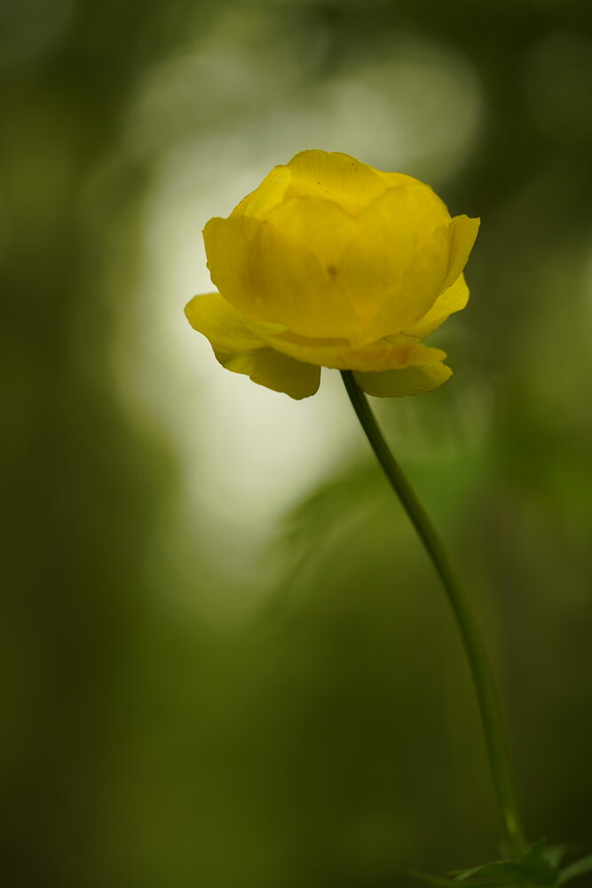 Photograph by Юлия Овчинникова