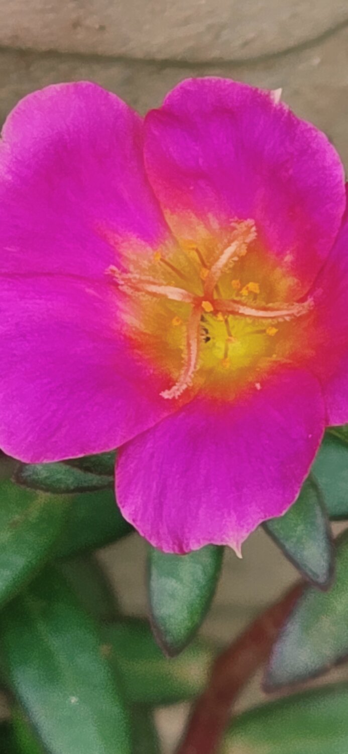Photo #13844668