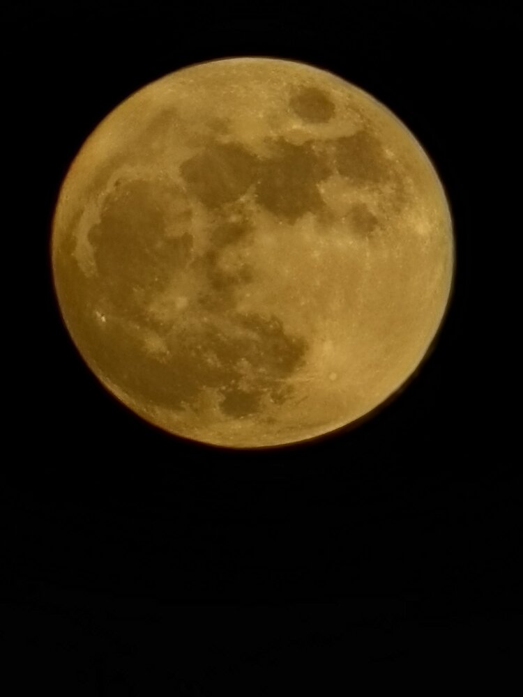 Photograph by Наталия Нехорошева