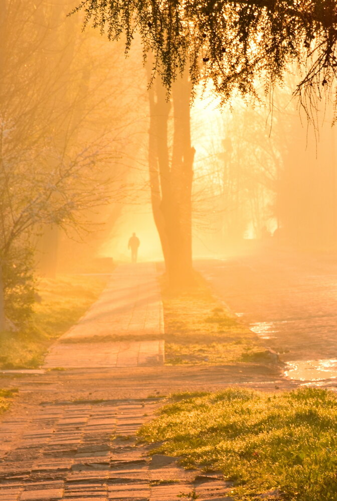 Photograph by Ирина Алексеева