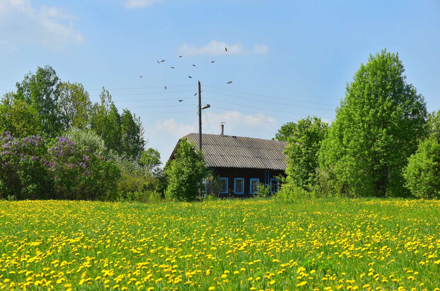 Тихое место