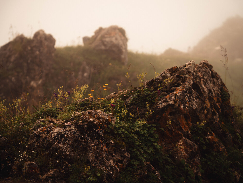 Photograph by Виктория Максюта