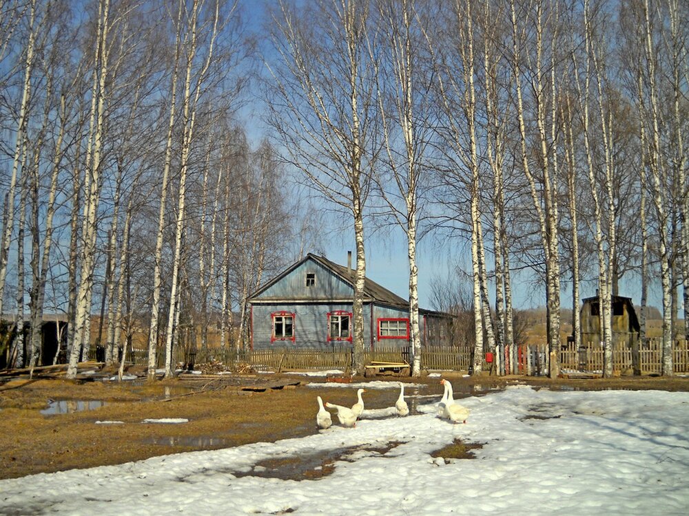 Photograph by Виктор Решетников