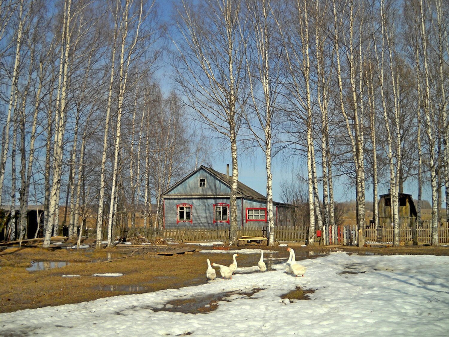Photo #13844909
