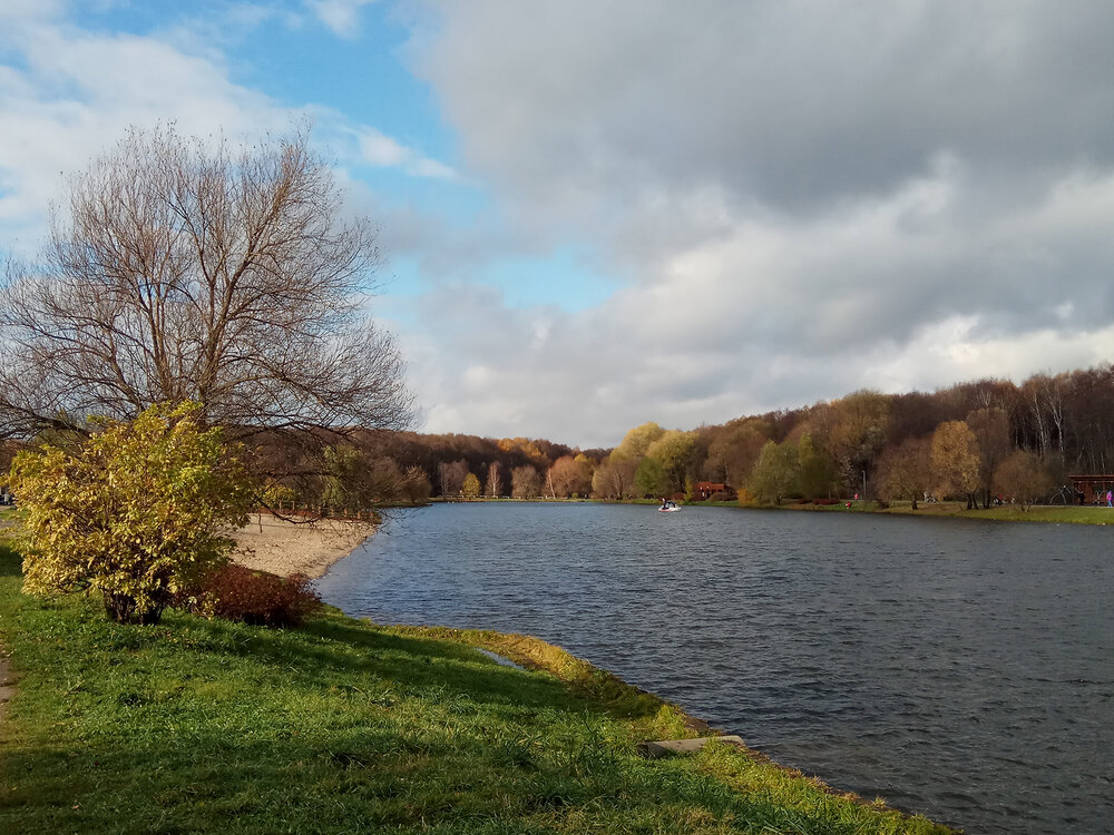 Фотография автора Елена Прокофьева