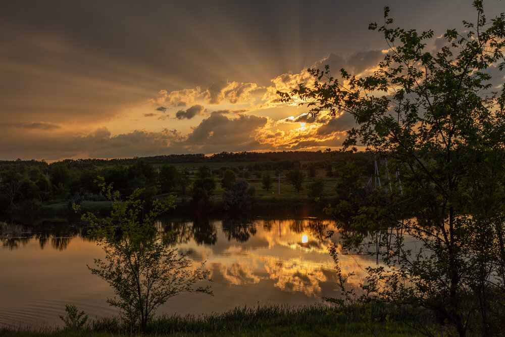 Photograph by Татьяна Гузева