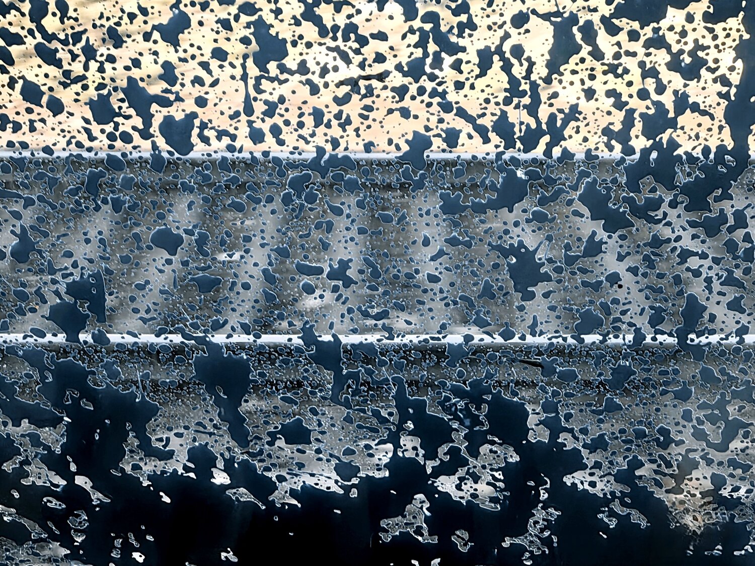 Photo #13845009