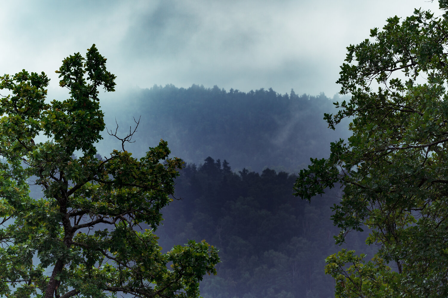 Photo #13845085