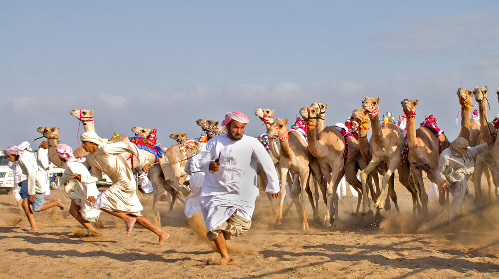 Photograph by Majid Al Amri