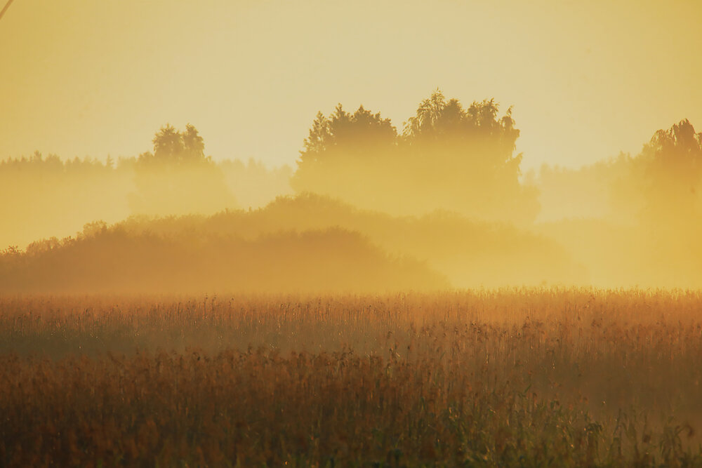 Photograph by Николай Протасеня
