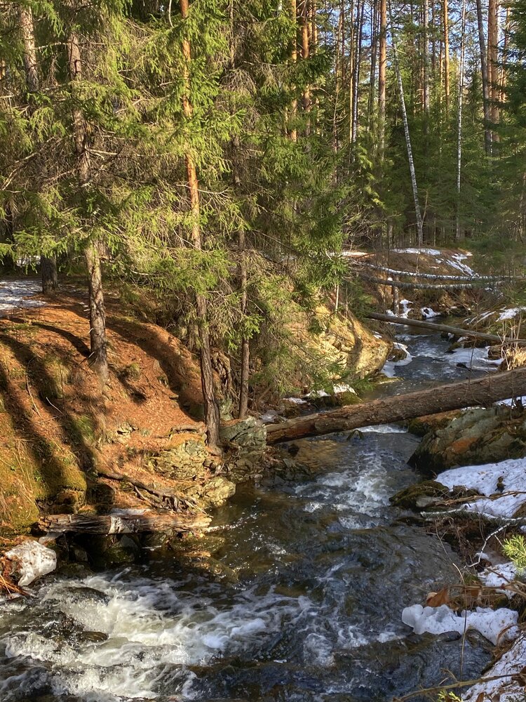 Photograph by Вера Артеменко