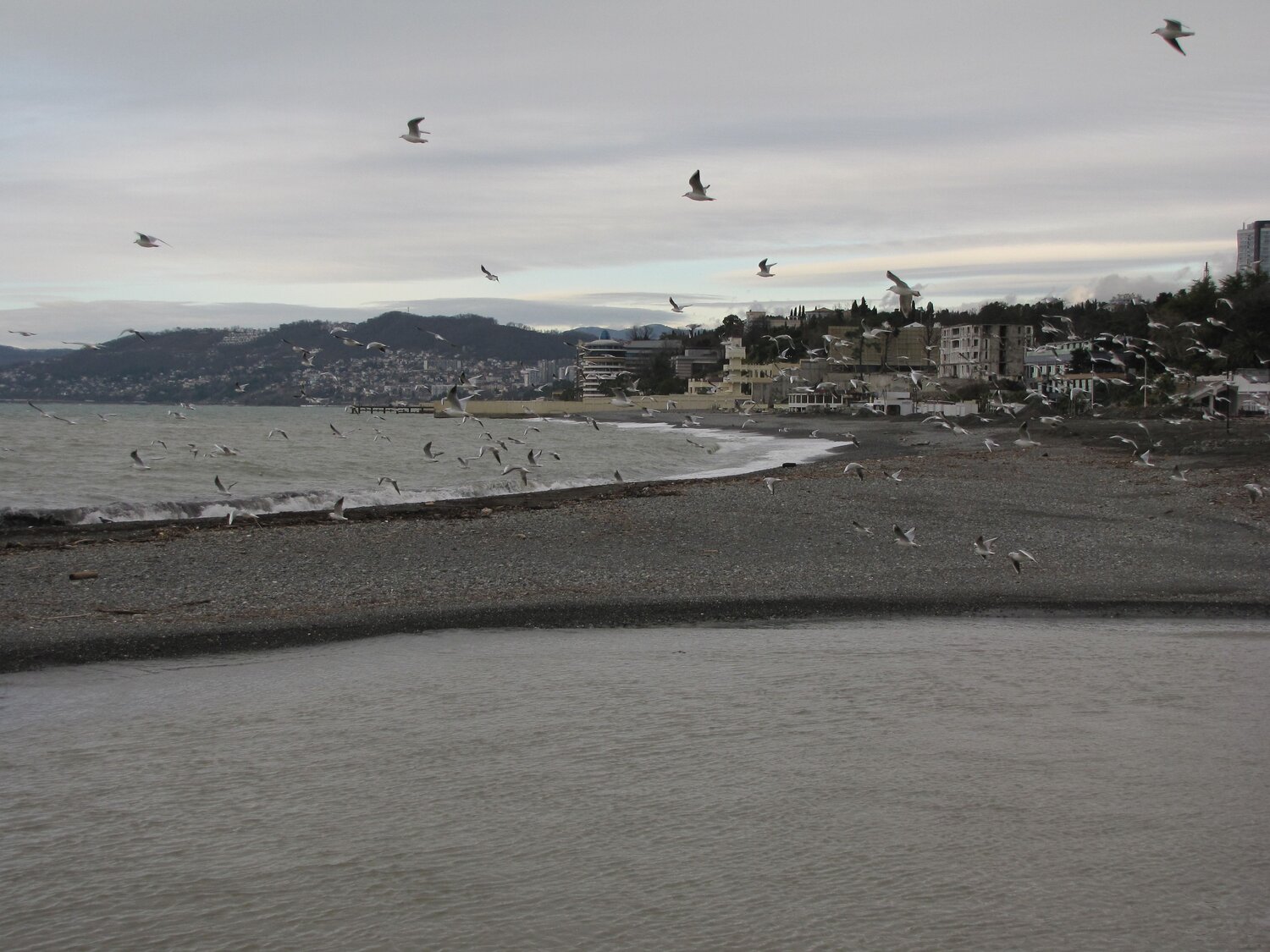 Photo #13845256
