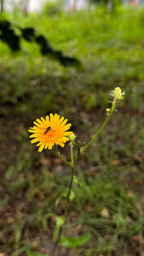 Photograph by Екатерина Шибанова