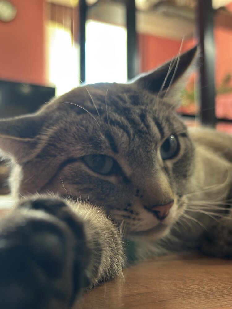 Photograph by Екатерина Шибанова