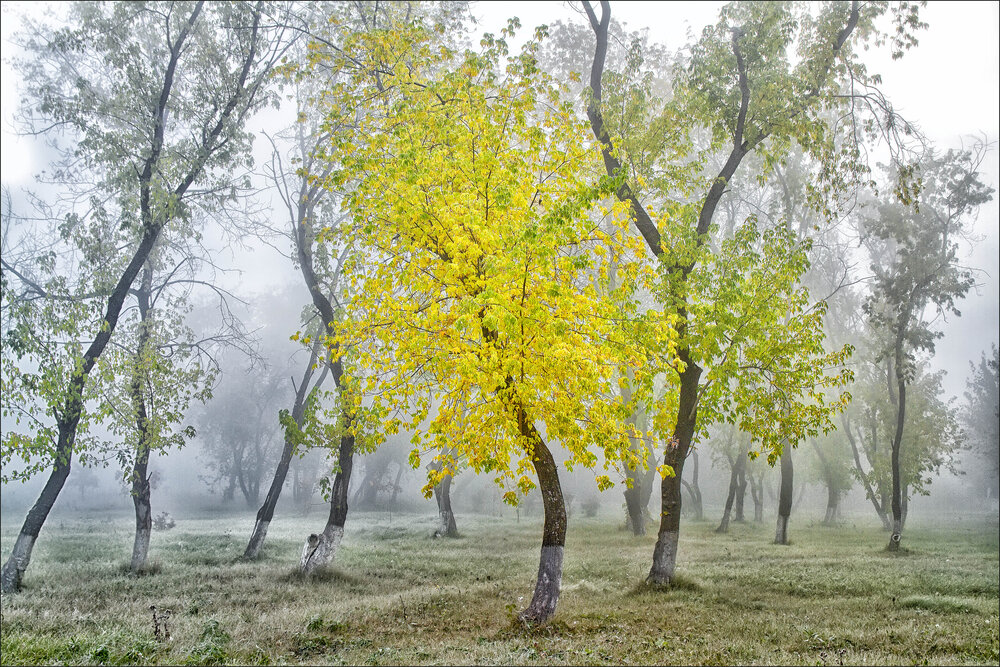 Photograph by александр