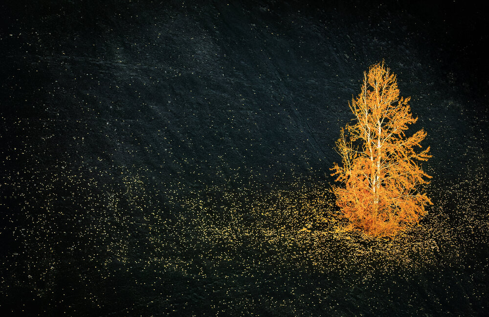 Photograph by александр