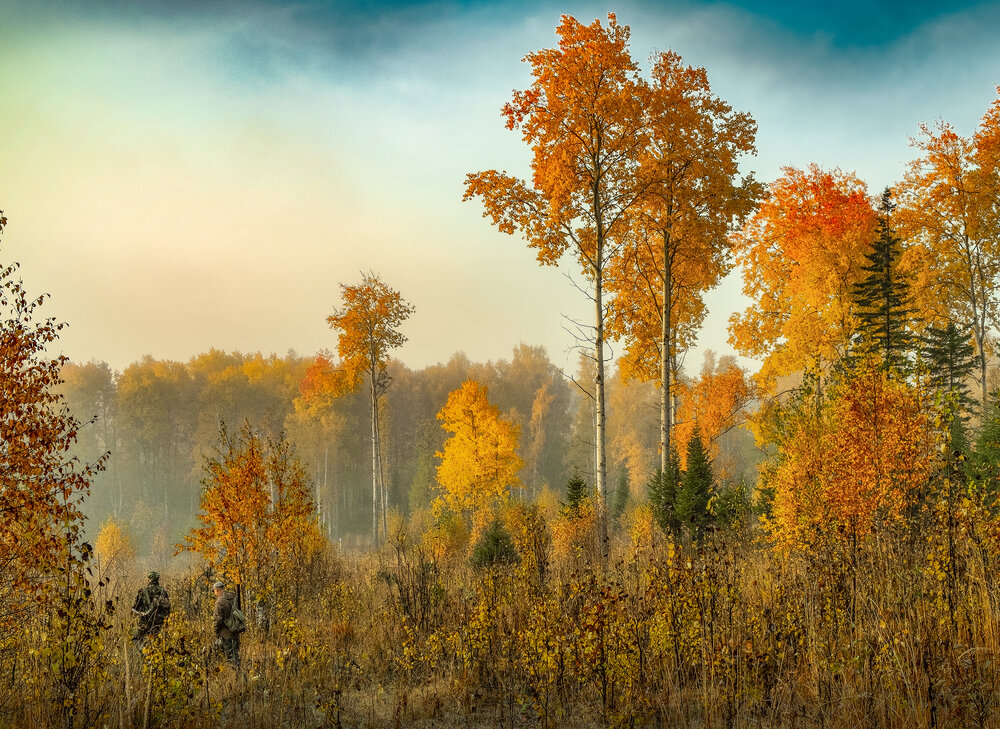 Photograph by александр