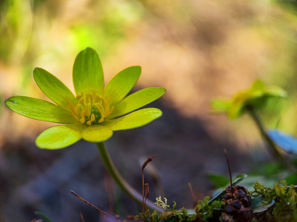 Photograph by Qvaraia Rati