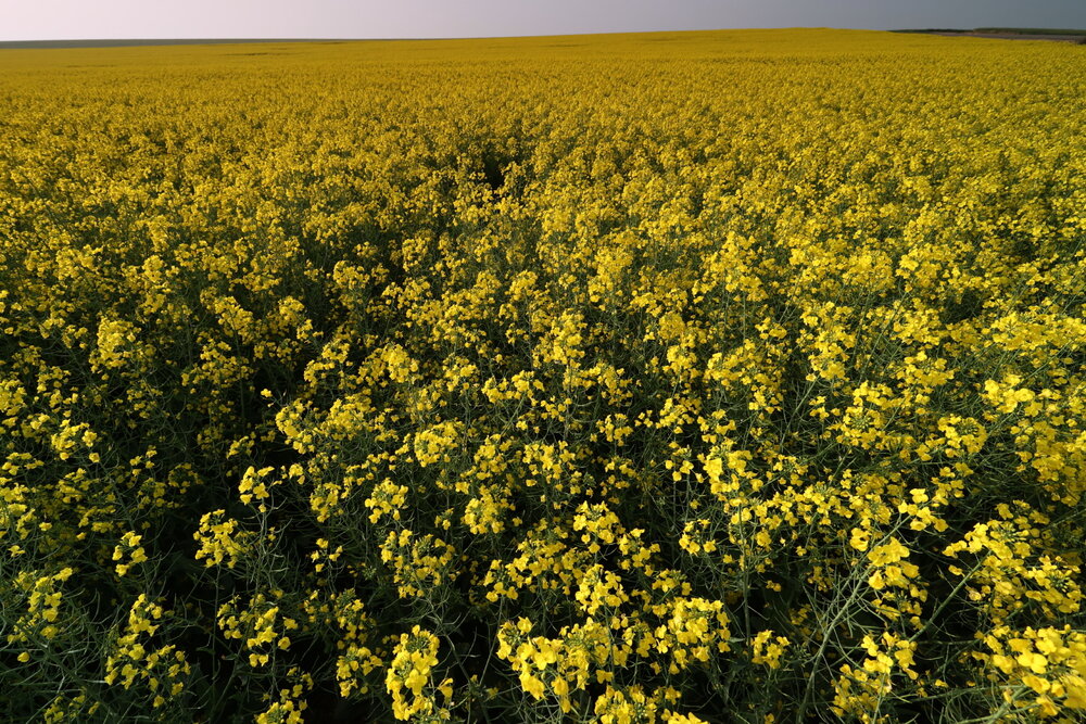 Photograph by Борис Лишневский