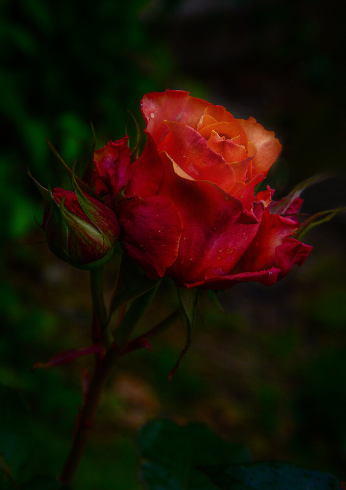 Photograph by Владимир Кваша