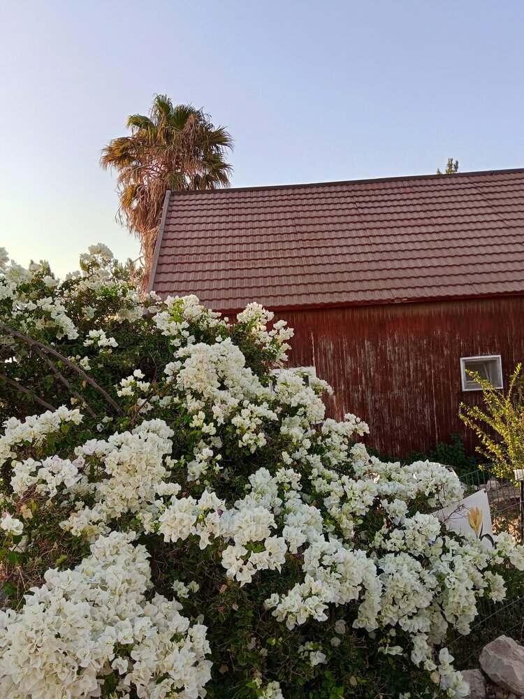 Photo #13845503