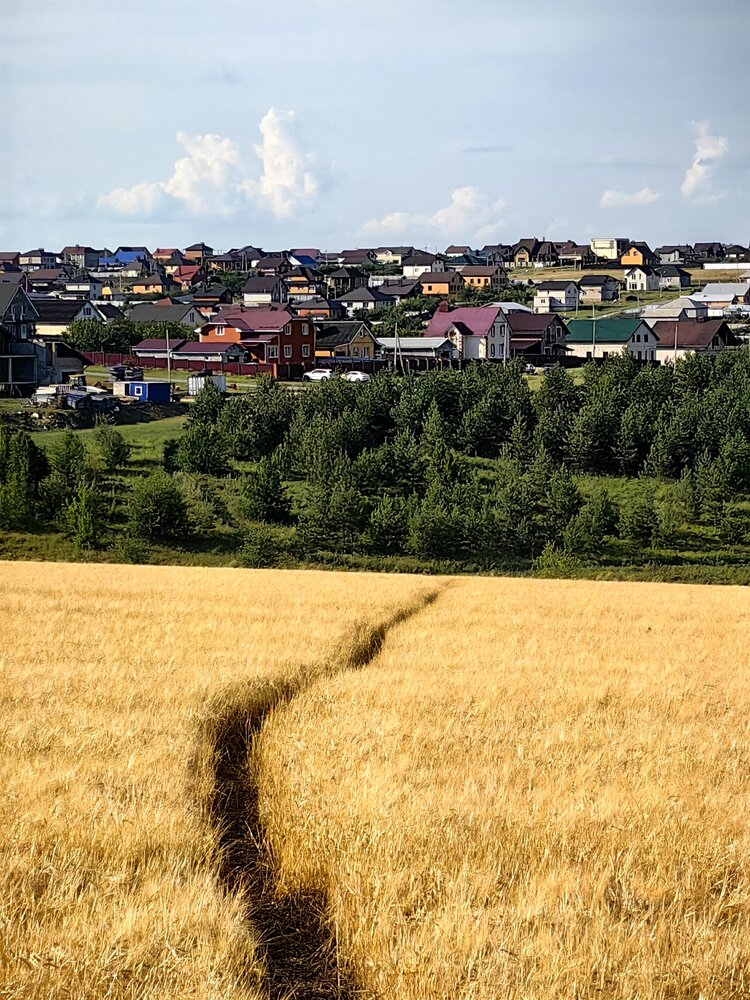 Photograph by Ольга Подопригора