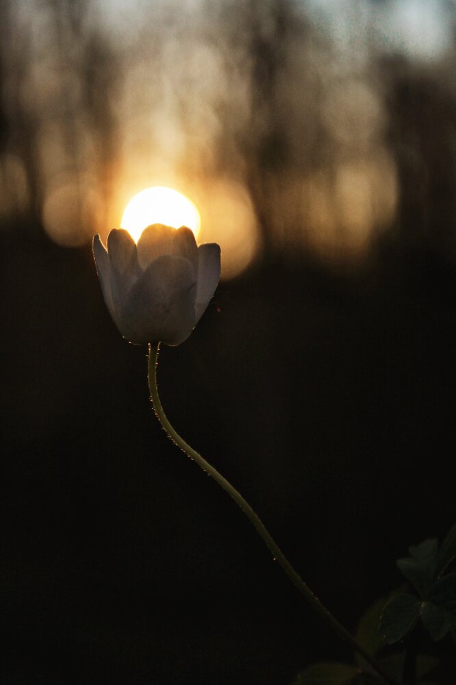 Photograph by Анна Захарчук