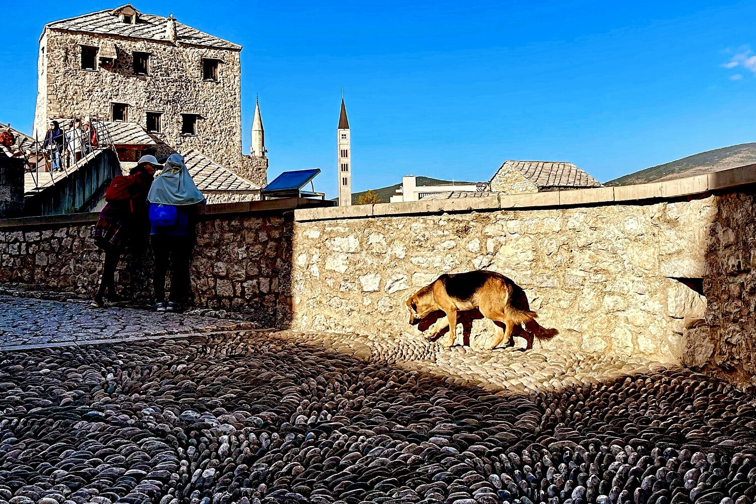 Photo #13845577