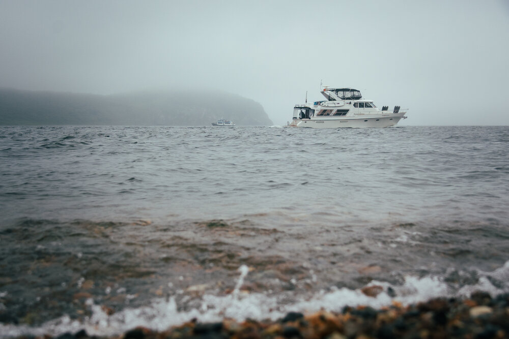 Photo #13845578