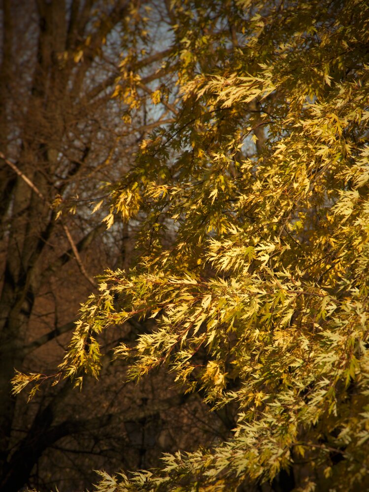 Photograph by Надежда Чурилова