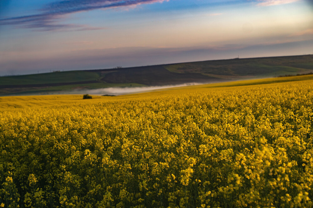Photograph by Наталья Пилипенко