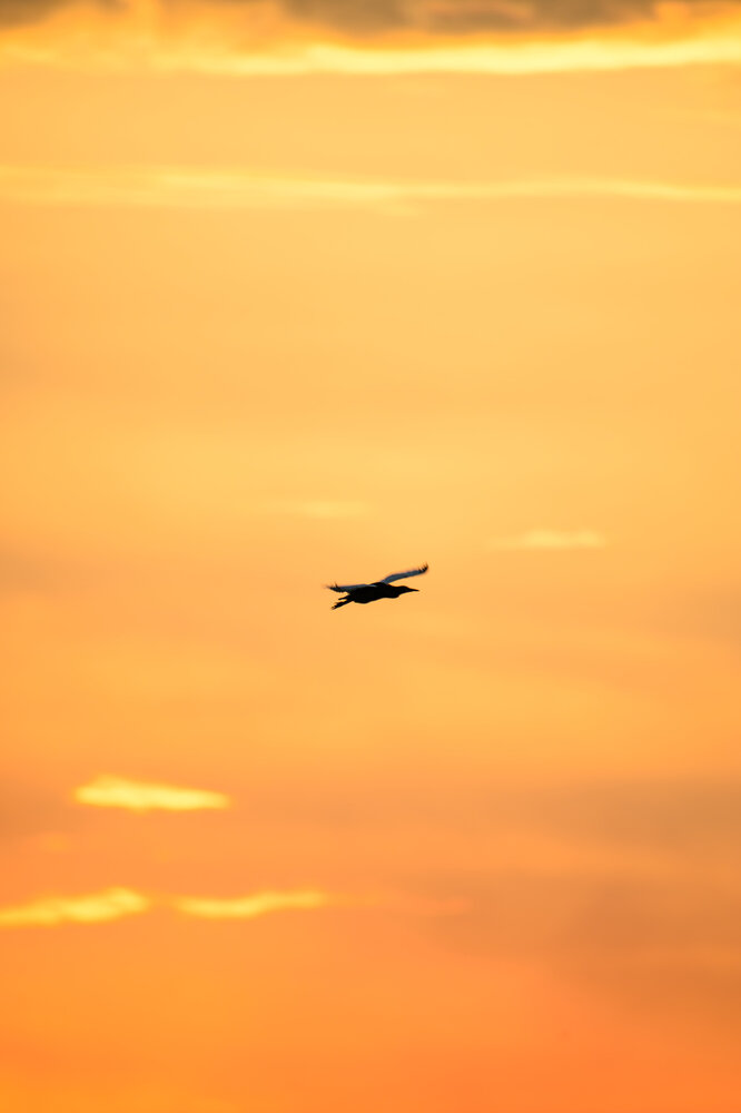 Photograph by Bùi Nguyễn