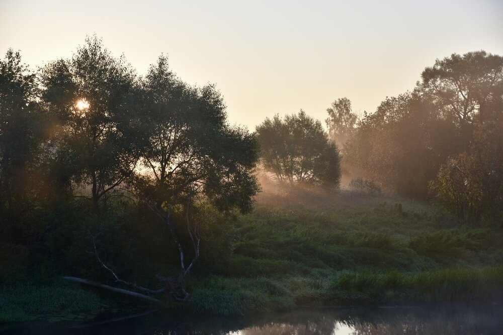 Photograph by Ольга Струкалина
