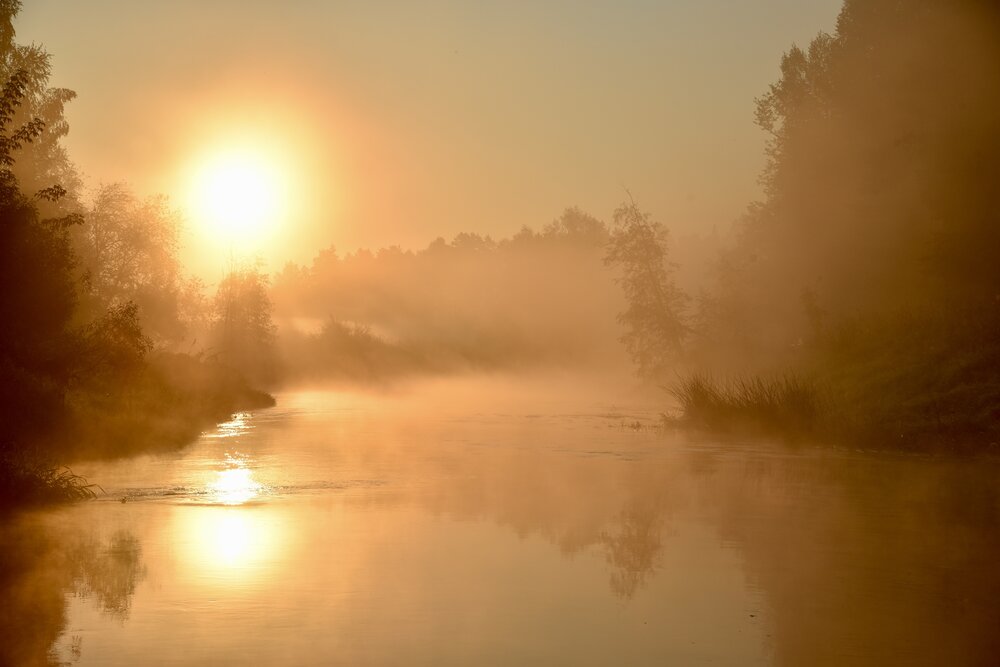 Photograph by Ольга Струкалина