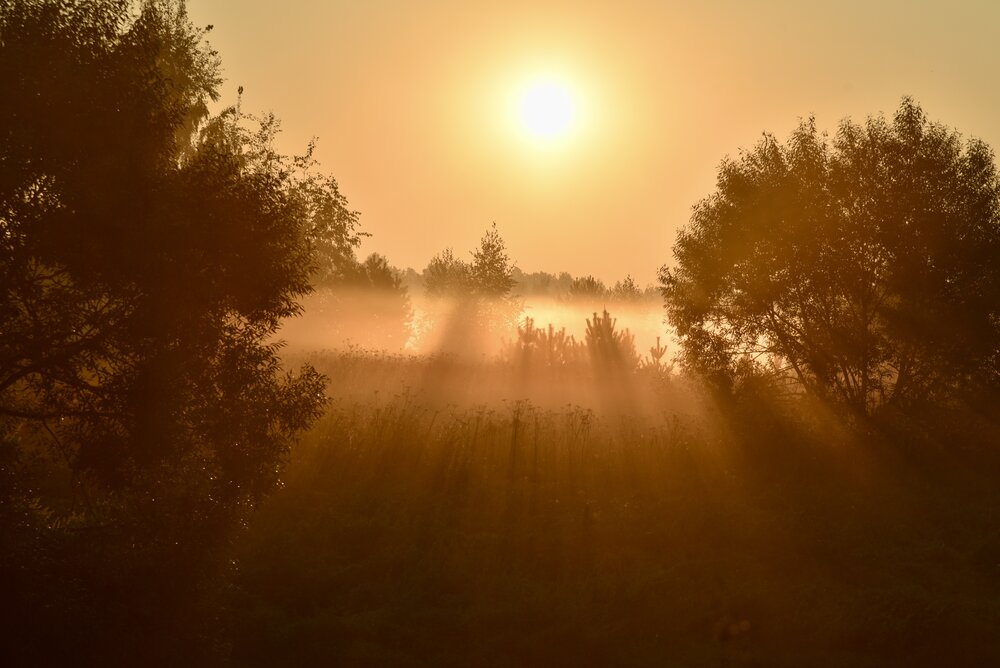 Photograph by Ольга Струкалина