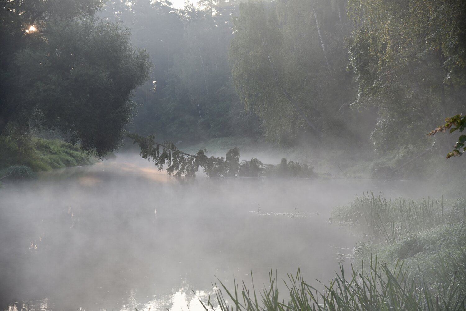 Photo #13845631