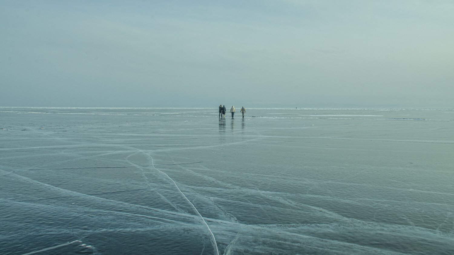 Photo #13845718