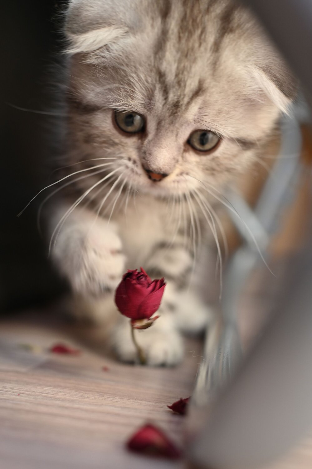 Photo #13845726