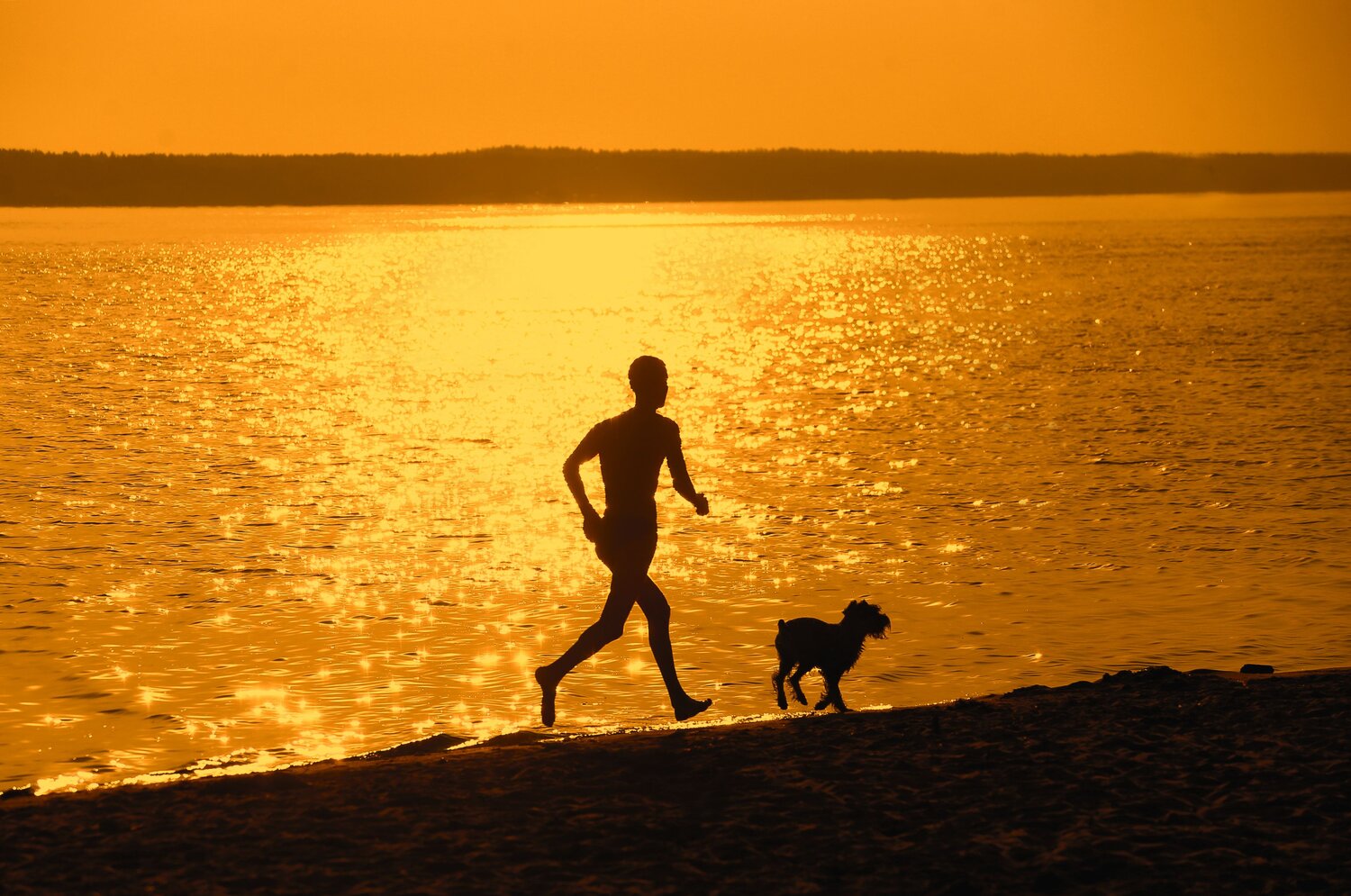 Photo #13845736