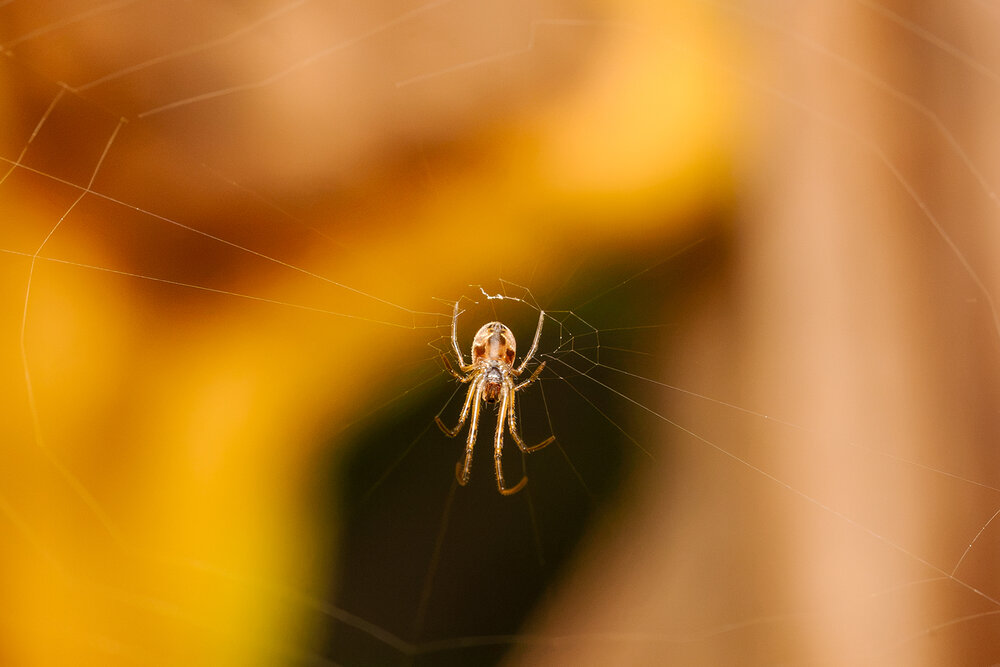 Photograph by Dhananjay Thakur