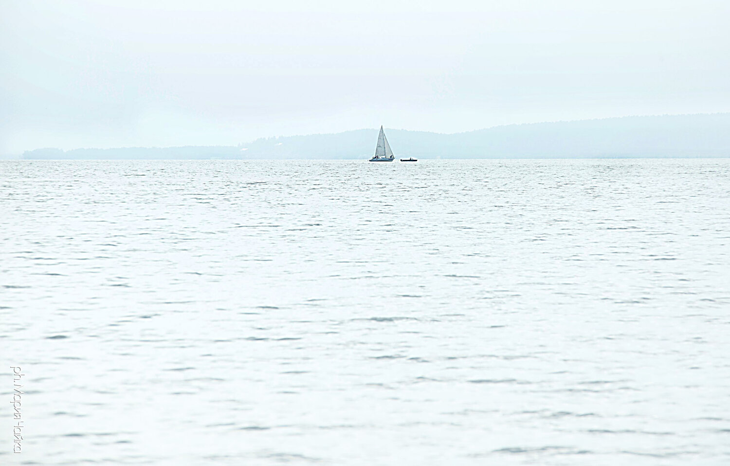 Photo #13845761