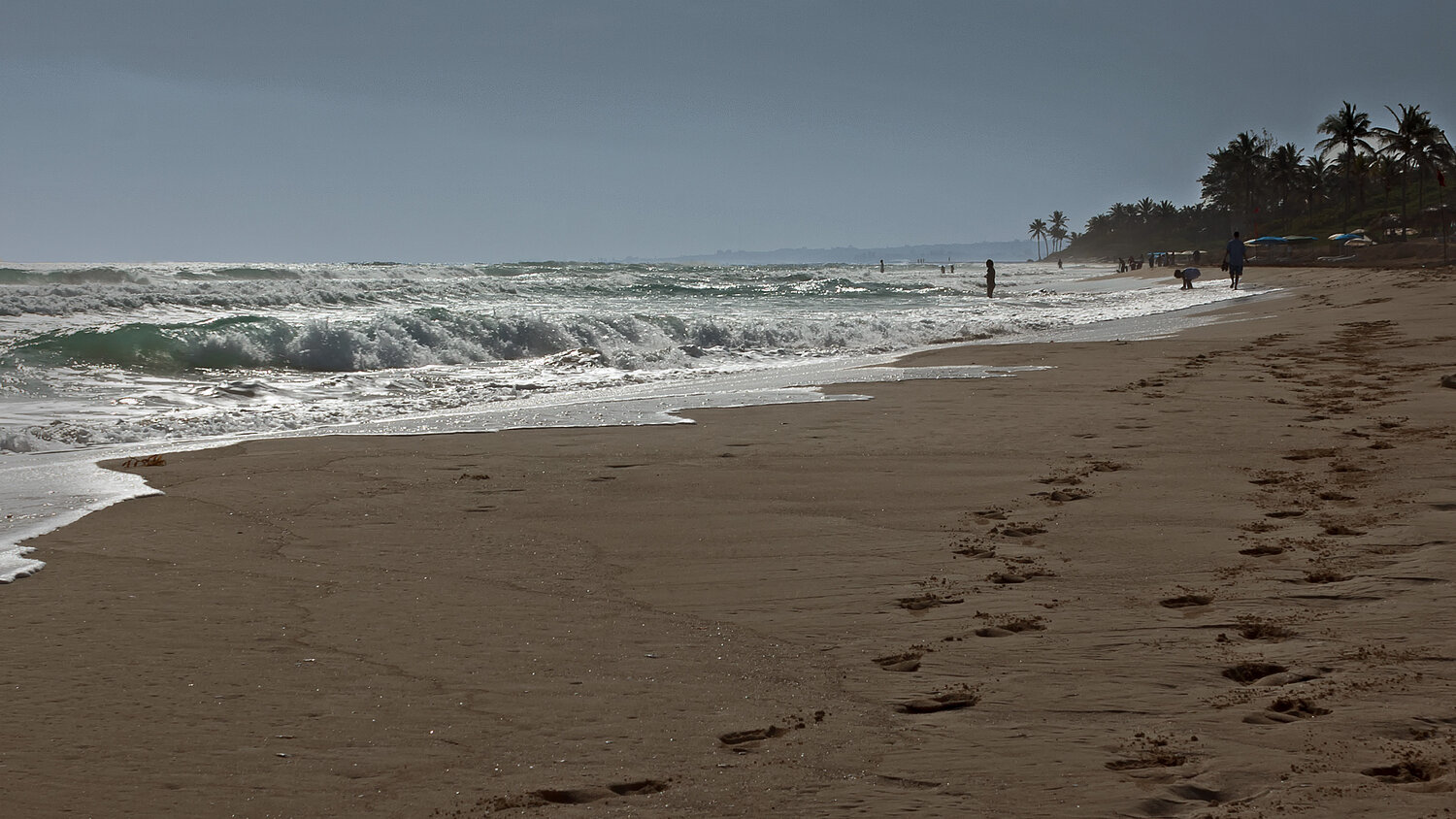 Photo #13845784