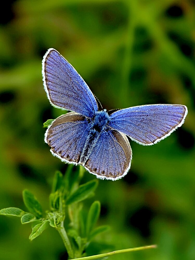 Photograph by Куделенко Оксана